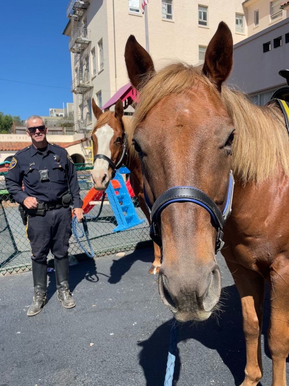 150 officers, 20 dogs and 12 horses can't keep St. Louis fans from