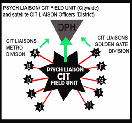 Diagram showing the Psych Liaison/CIT Field Unit at the center, linking to eight district CIT Liaisons, split between Metro and Golden Gate Divisions.