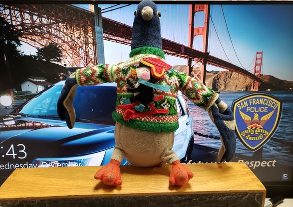 Photo of stolen item recovered by officers featuring a stuffed pigeon