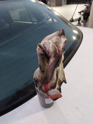 Image of "molotov" cocktail seized by officers